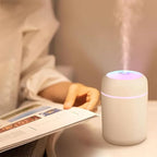 H2O Humidifier