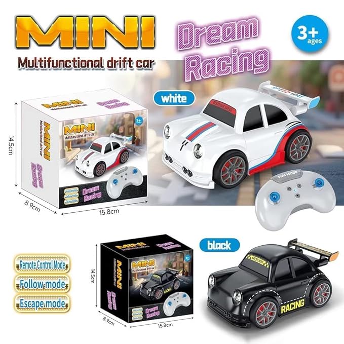Mini RC Drift Car