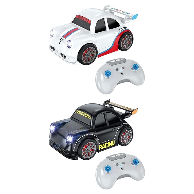 Mini RC Drift Car