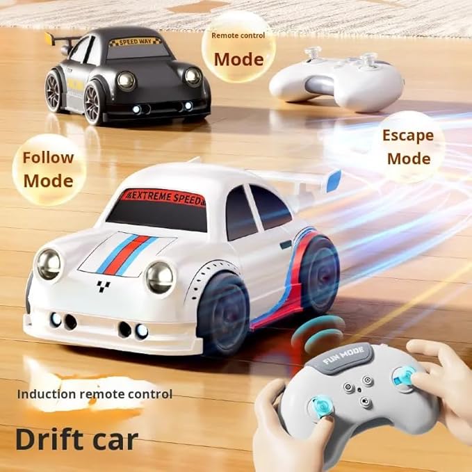 Mini RC Drift Car
