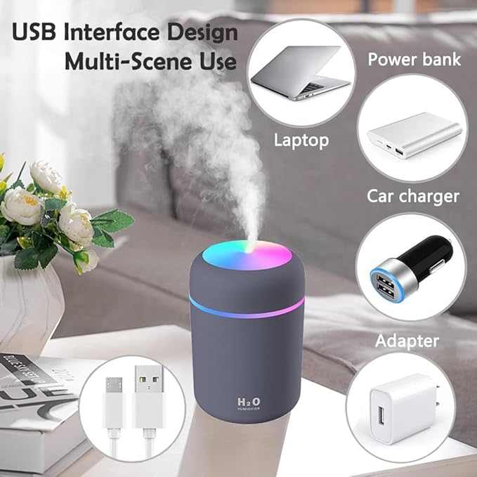H2O Humidifier