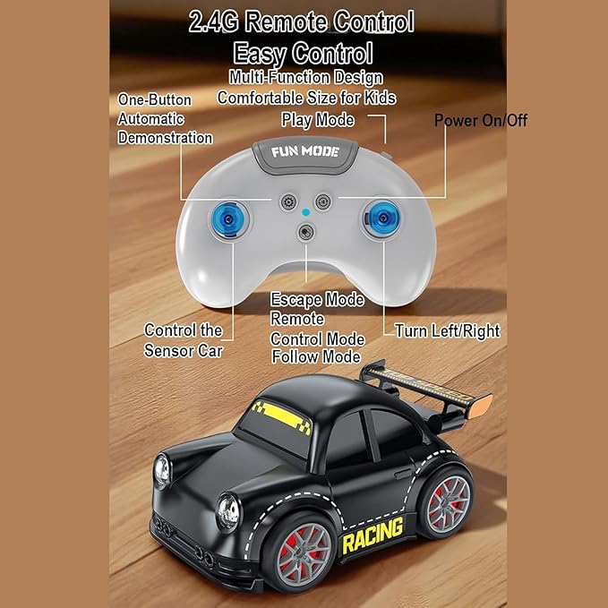 Mini RC Drift Car