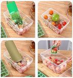 Easy Press Ice Tray Container